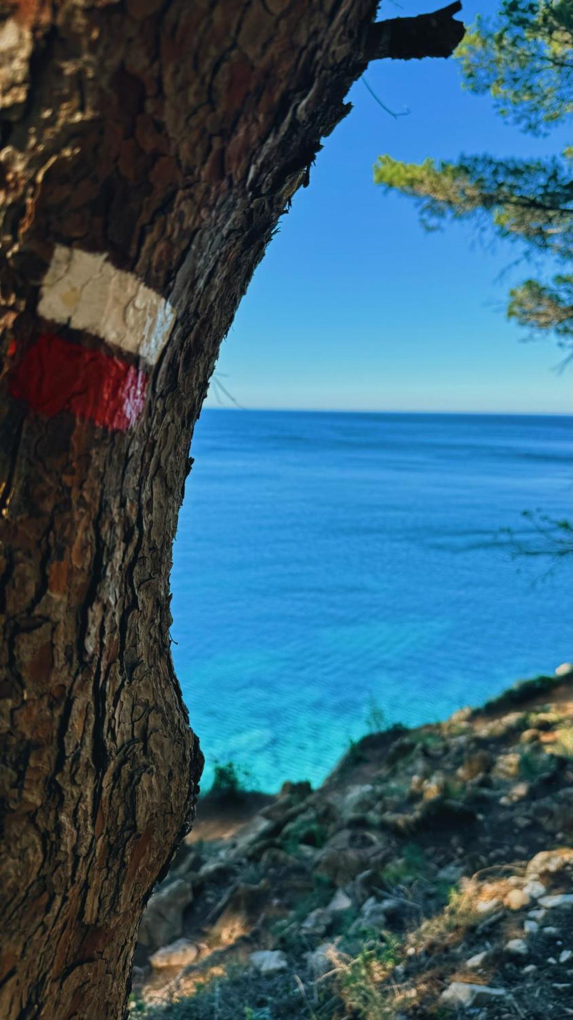 Can Romy Appartement T3 B - A 20M De La Plage De Cala Montgo L' Escala Esterno foto